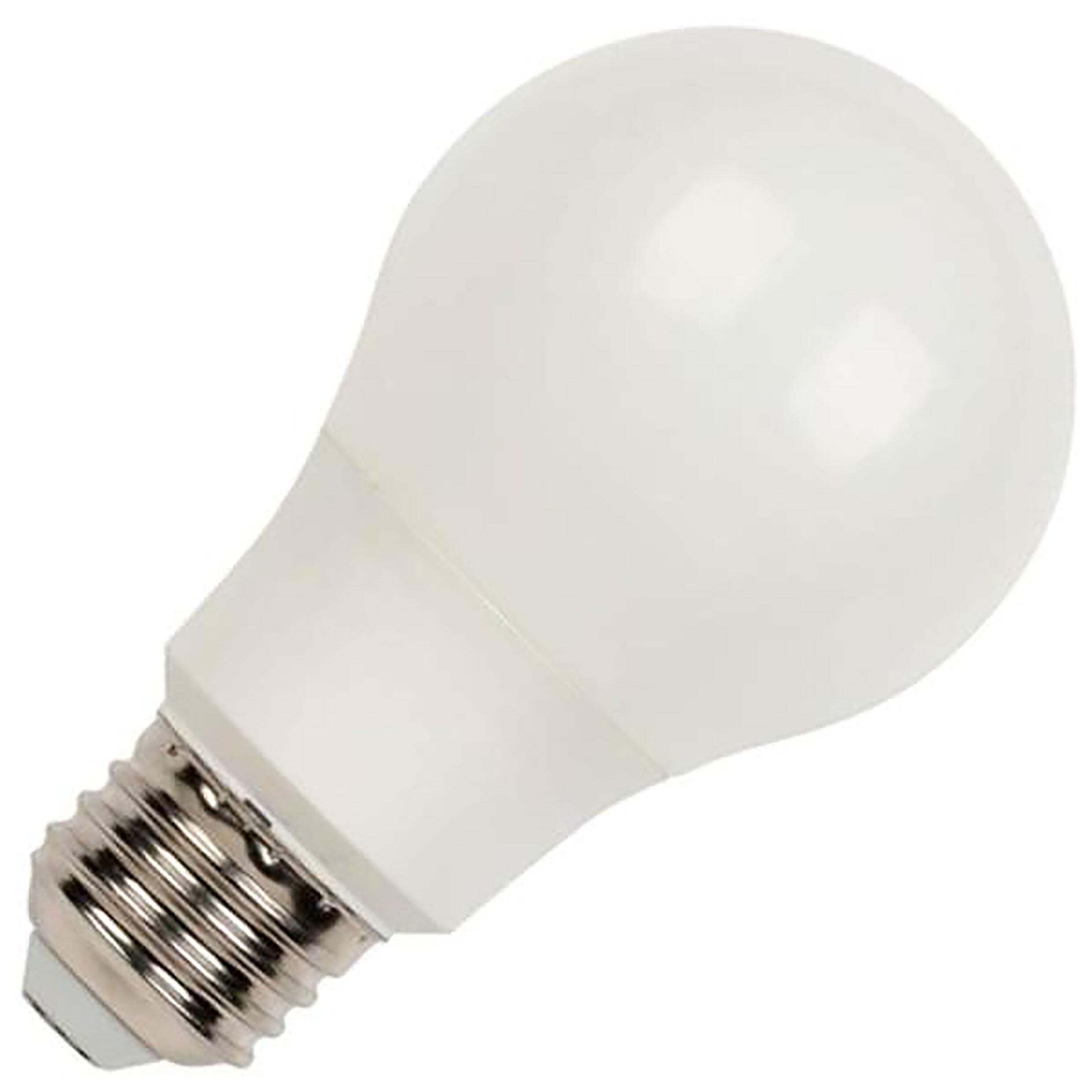 Delta Education Light Bulb, 60 watt, LED 2137327